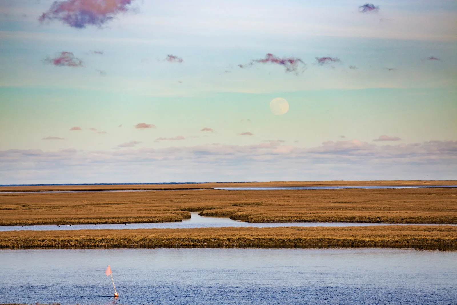 What Separates a Lagoon from a Marsh?