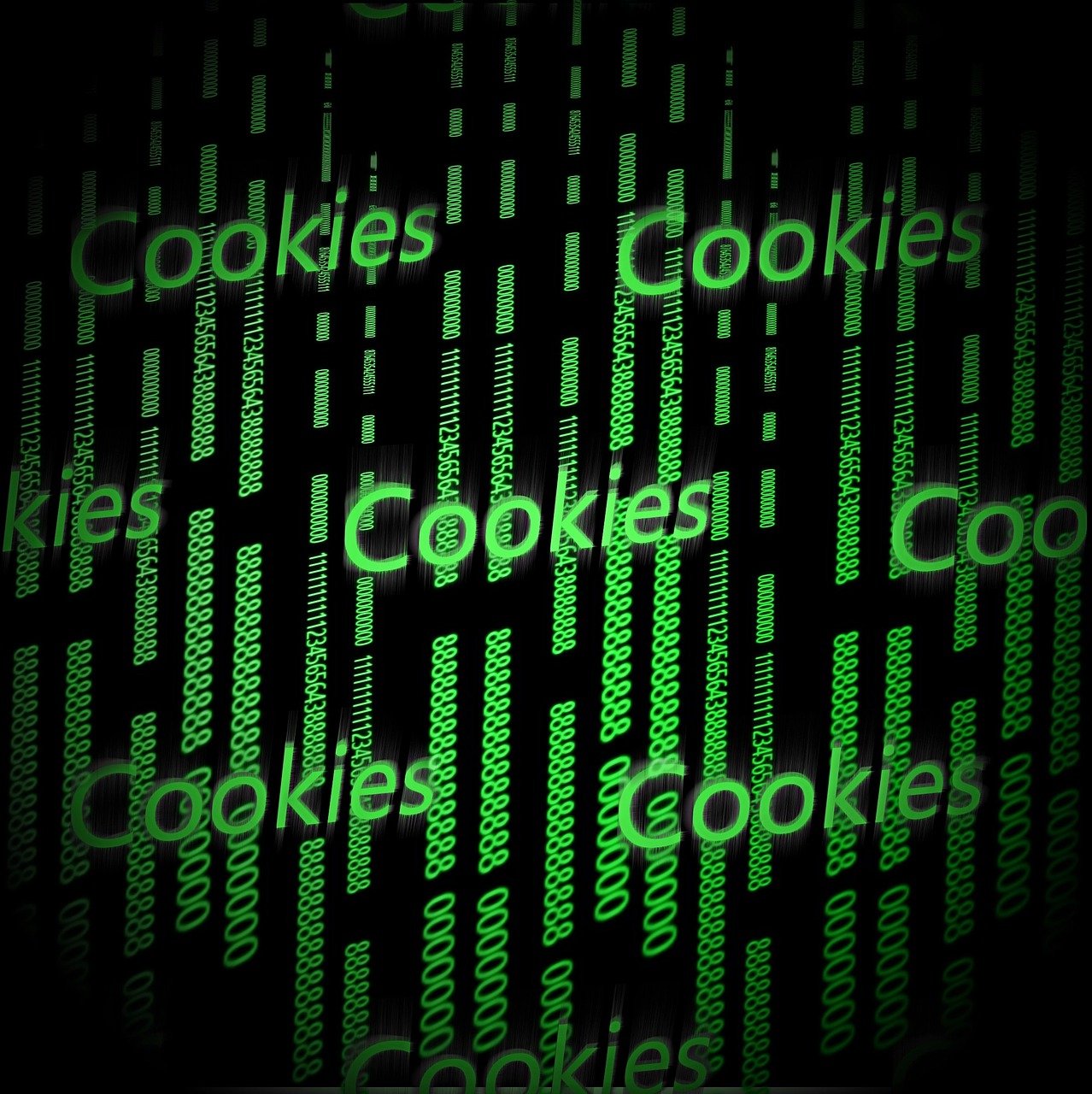 Understanding the Difference: How Do Cookies Differ from Cache in Web Browsing?