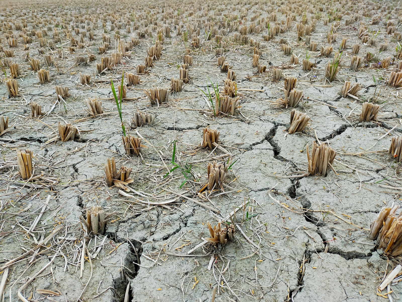 Understanding the Difference Between Meteorological and Hydrological Drought