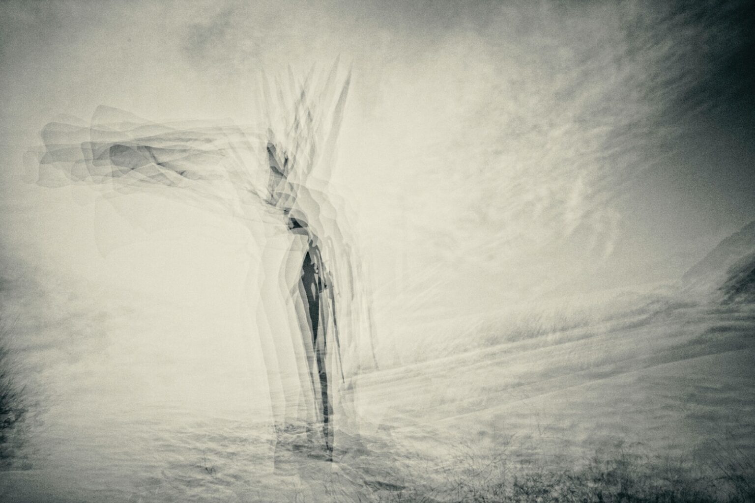 Linocut vs Woodcut Printmaking Key Differences Explored